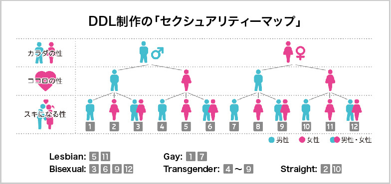 DDL制作のセクシュアリティ―マップ