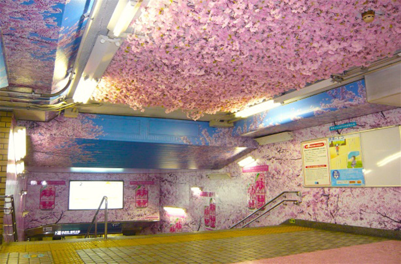 アサヒビール「東京でいち早く、桜が満開!~上野に桜の“新名所”誕生~」
