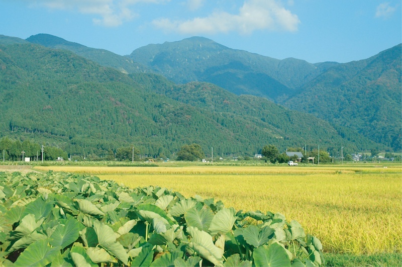 福井県大野市