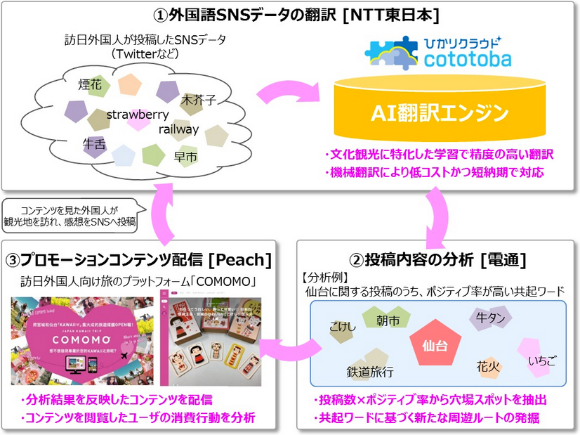 ≪トライアル概要≫