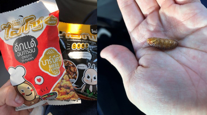 昆虫スナック①②