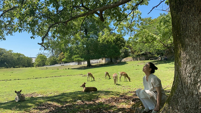 梅雨の晴れ間、奈良公園にて