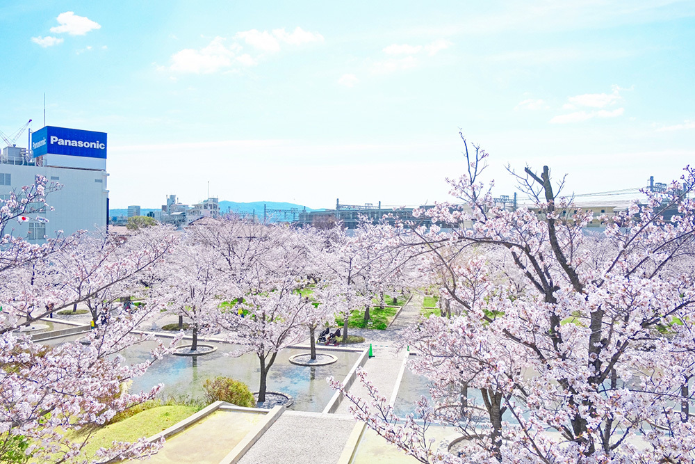 さくら広場（写真提供：パナソニック ホールディングス）